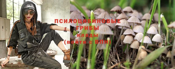 спиды Алексин