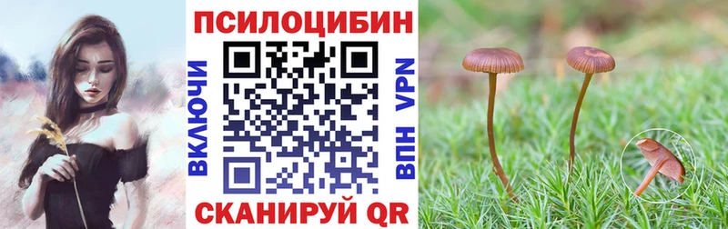 продажа наркотиков  Навашино  Галлюциногенные грибы мицелий 