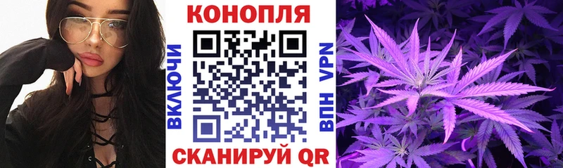 Каннабис SATIVA & INDICA Навашино